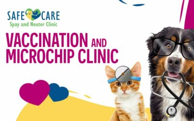 Vaccination and Microchip Clinic – October 2024